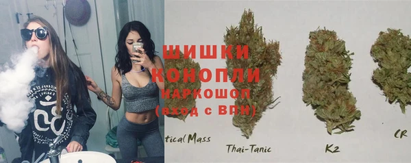 гидра Аркадак