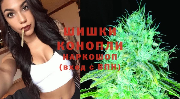 гидра Аркадак