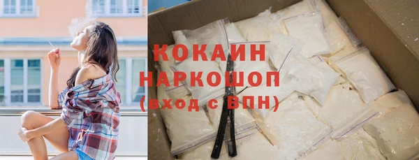 гидра Аркадак