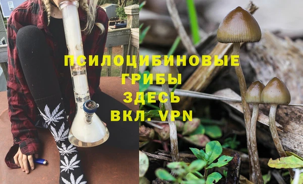 гидра Аркадак