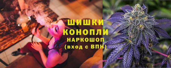 спайс Алзамай