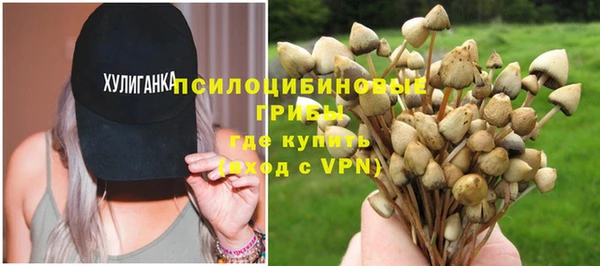 ALPHA-PVP Армянск