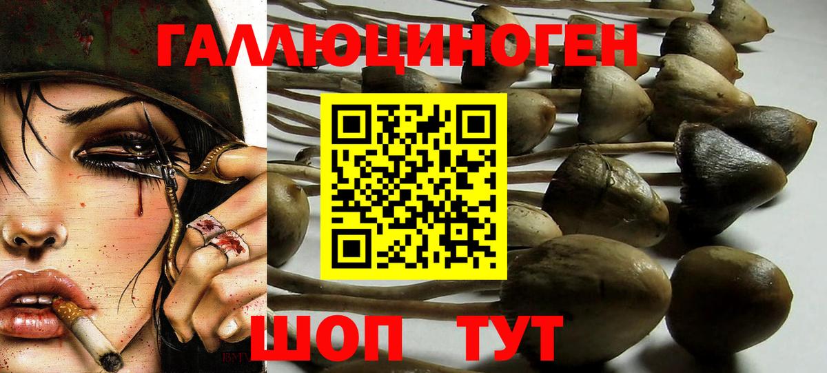 наркошоп  Псилоцибиновые грибы Magic Shrooms  Старая Купавна  Вход с VPN  Псилоцибиновые грибы GOLDEN TEACHER 
