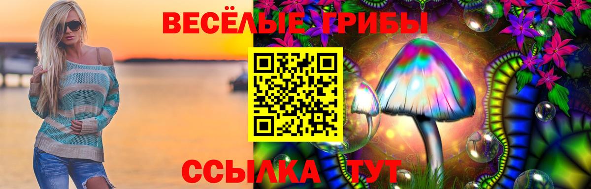 Псилоцибиновые грибы Cubensis Старая Купавна